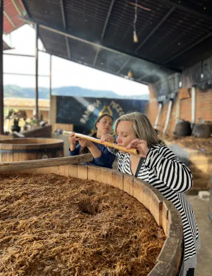 ANCESTRAL MEZCAL & MONTE ALBAN TOUR