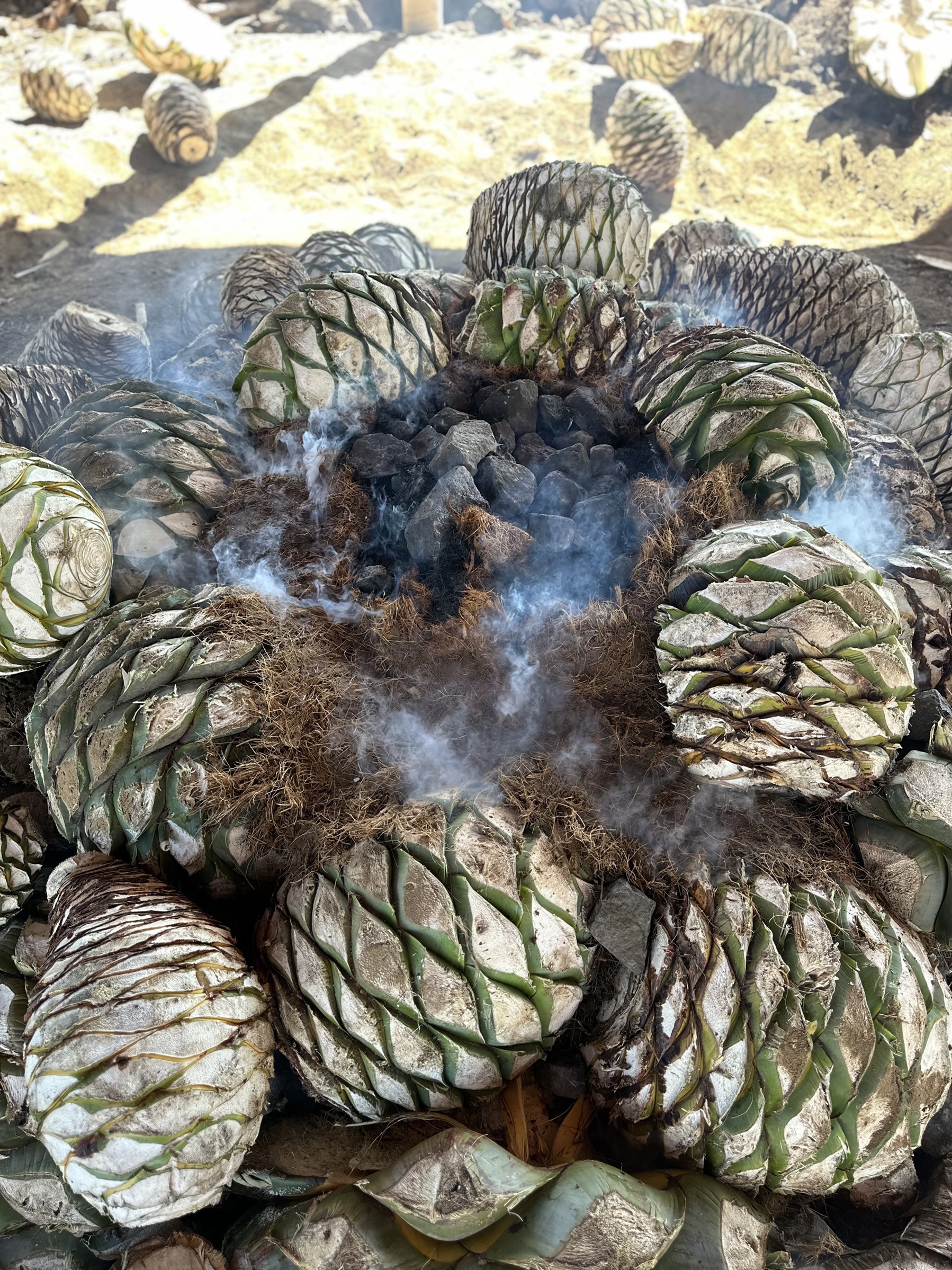 Artisanal Mezcal Distillery