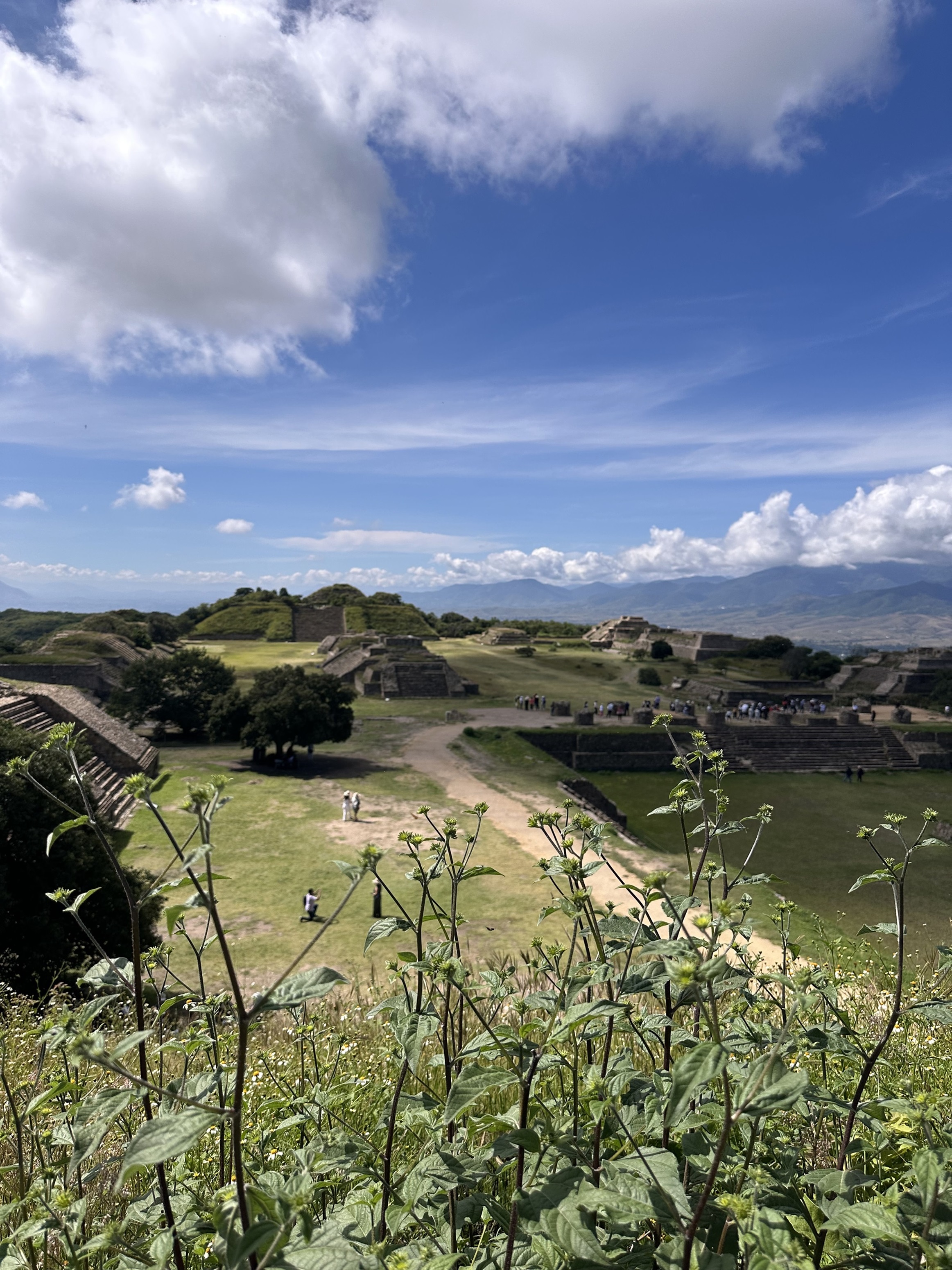 Monte Albán